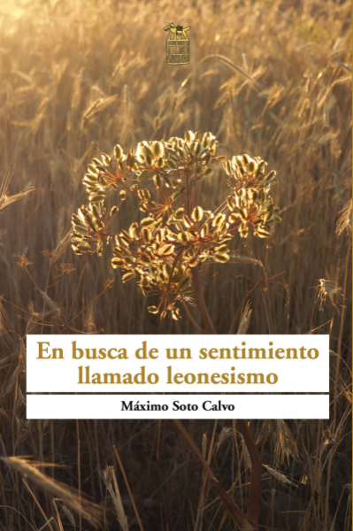 Máximo Soto Calvo 